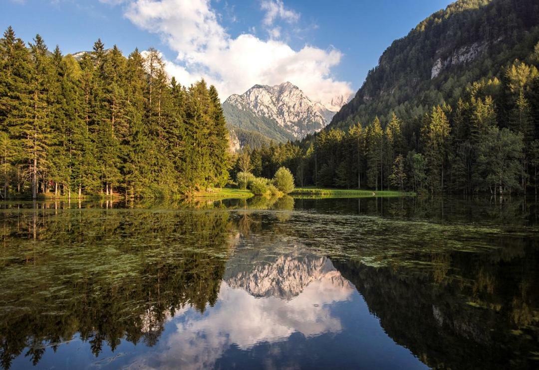 Boutique Hotel Vila Planinka Zgornje Jezersko Εξωτερικό φωτογραφία